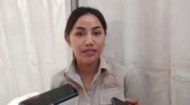 Wakil Ketua DPRD Samarinda, Celni Pita Sari
